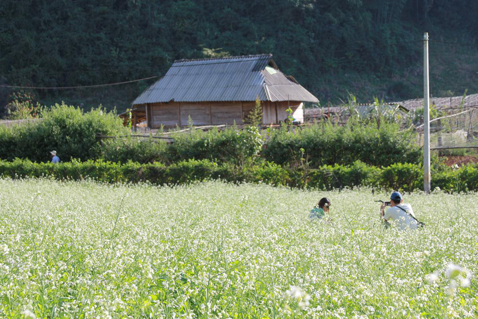 Mùa Đông Nên Đi Du Lịch Ở Đâu Thú Vị Nhất 4